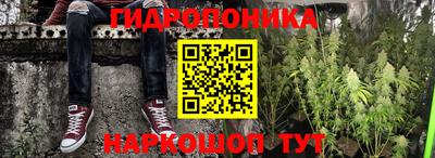 тгк Берёзовский